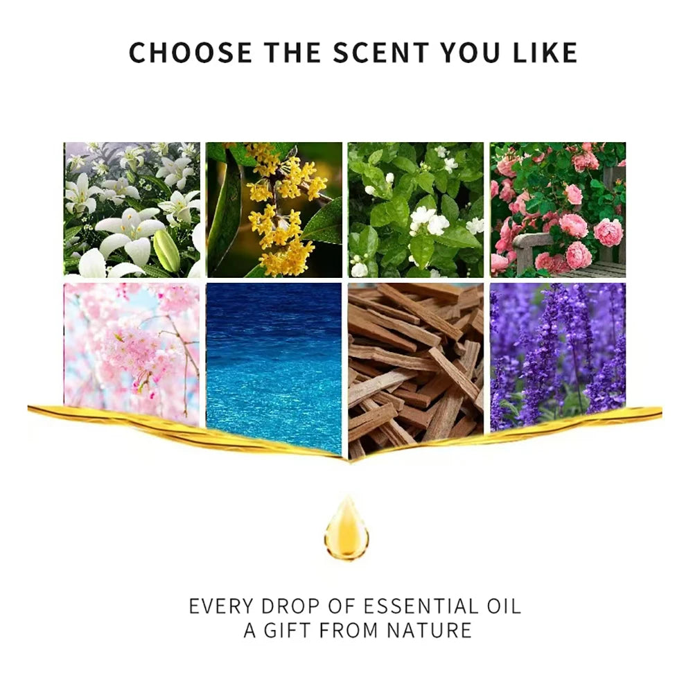12pcs/box 10ml Incense Water Soluble Essential Oil,Wonderful Essential oils gift set option.